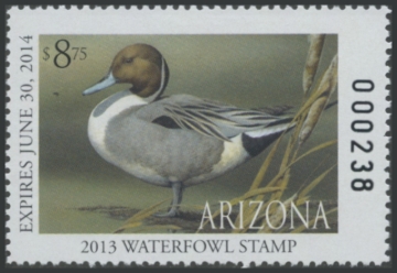 Picture of 2013 Arizona Duck Stamp