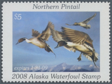 Picture of 2008 Alaska Duck Stamp