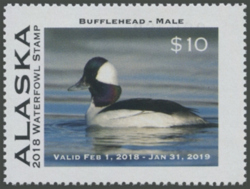 Picture of 2018 Alaska Duck Stamp