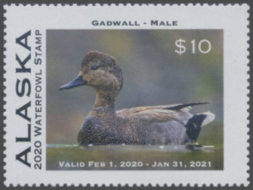 Picture of 2020 Alaska Duck Stamp
