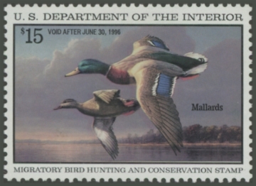 Picture of RW62 1997 Duck Stamp 