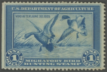 Picture of RW1 1934 Duck Stamp 