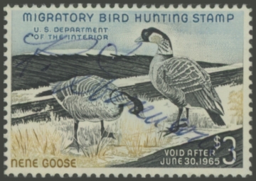 Picture of RW31 1964 Duck Stamp 