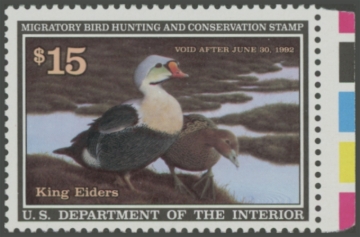 Picture of RW58 1991 Duck Stamp 