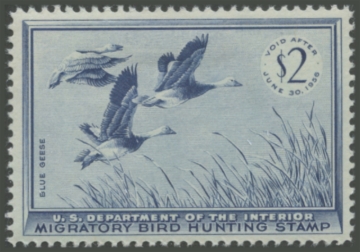Picture of RW22 1955 Duck Stamp 