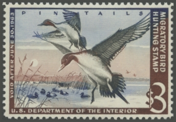 Picture of RW29 1962 Duck Stamp 