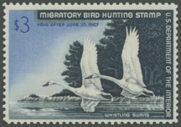 Picture of RW33 1966 Duck Stamp 
