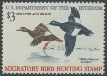 Picture of RW36 1969 Duck Stamp 