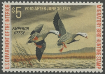 Picture of RW39 1972 Duck Stamp 