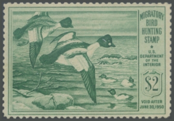 Picture of RW16 1949 MNH Duck Stamp 
