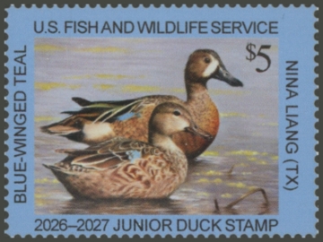 Picture of JDS34 2026 Junior Duck Stamp 