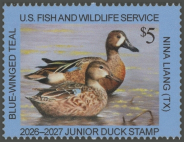 Picture of JDS34 2026 Junior Duck Stamp