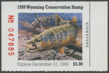 Picture of 1999 Wyoming Duck Stamp