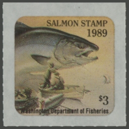 Picture of Washington Salmon Fishing