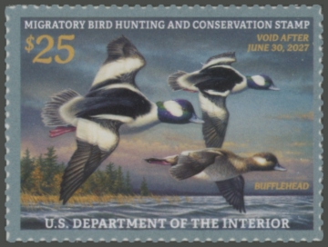 Picture of RW93 2026 Duck Stamp
