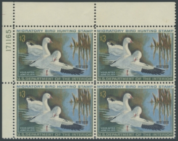 Picture of RW37 1970 Duck Stamp 