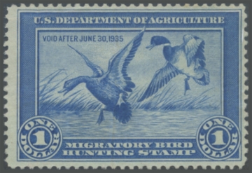 Picture of RW1 1934 Duck Stamp 