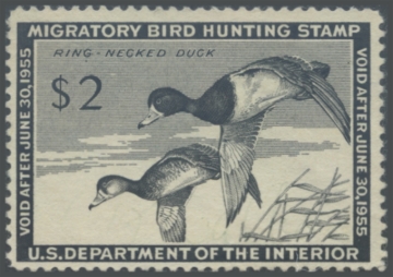 Picture of RW21 1954 Duck Stamp 