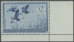 Picture of RW22 1955 Duck Stamp 