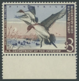 Picture of RW29 1962 Duck Stamp 