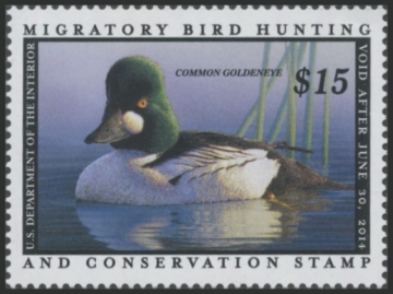 Picture of RW80 2013 Duck Stamp 