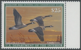 Picture of RW84 2017 Duck Stamp 