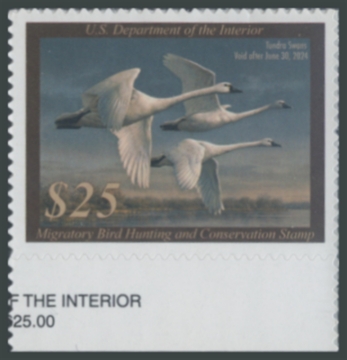 Picture of RW90 2023 Duck Stamp 