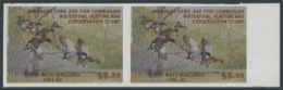 Picture of 1981 Arkansas Duck Stamp - First of State