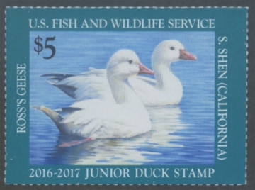 Picture of JDS24 2016 Duck Stamp 
