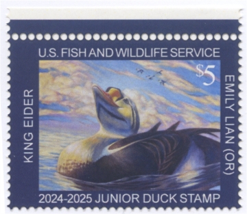 Picture of JDS32 2024 Duck Stamp 