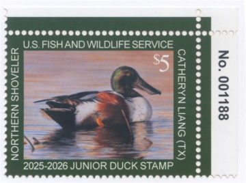 Picture of JDS33 2025 Duck Stamp 