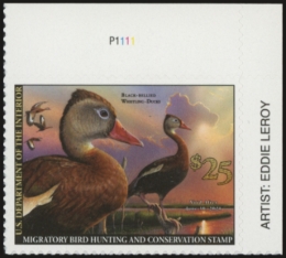 Picture of RW87 2020 Duck Stamp PNS