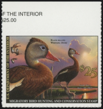 Picture of RW87 2020 Duck Stamp