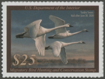 Picture of RW90 2023 Duck Stamp 