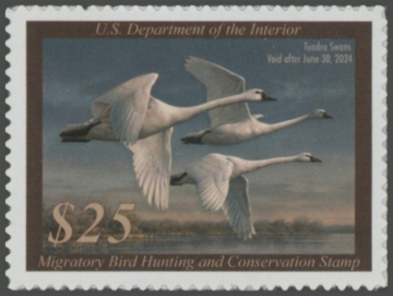 Picture of RW90 2023 Duck Stamp 